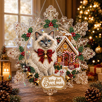 Ragdoll