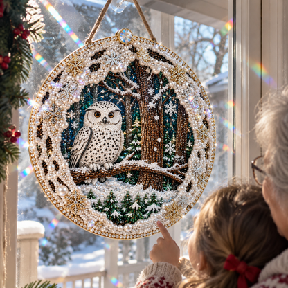 🔥Limited time 70% OFF🔥 Snow Owl Suncatcher Diamond Art Hanging Ornament Kit