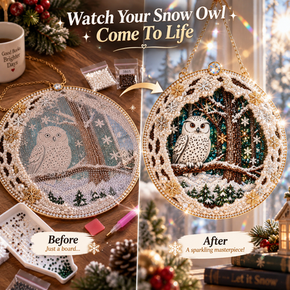 🔥Limited time 70% OFF🔥 Snow Owl Suncatcher Diamond Art Hanging Ornament Kit