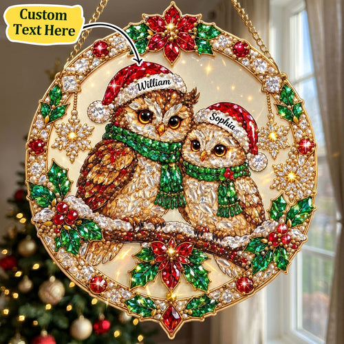 Personalized Christmas Owl Couple Diamond Art Hanging Ornament Kit