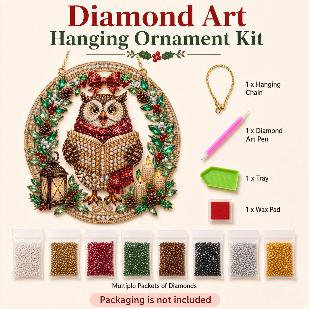 Christmas Storytime Owl Diamond Art Hanging Ornament Kit